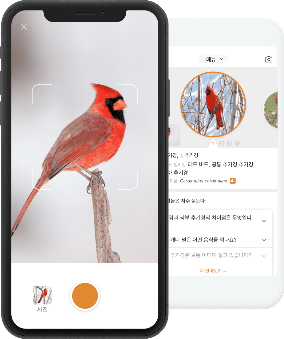 this is a product img